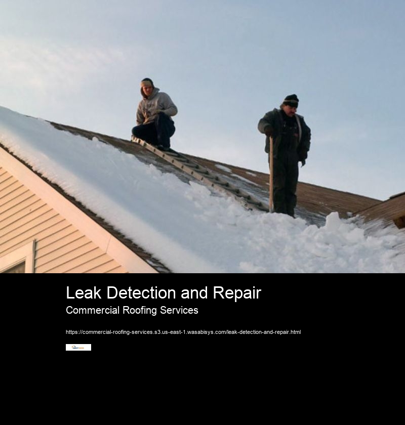 Leak Detection and Repair