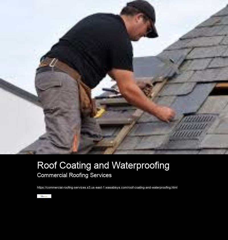 Roof Coating and Waterproofing